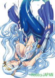 Rule 34 | 10s, 1girl, blue eyes, blue hair, breasts, crown, earrings, eiwa, hair ornament, huge breasts, jewelry, long hair, matching hair/eyes, mermaid, monster girl, pointy ears, princess, queen&#039;s blade, queen&#039;s blade grimoire, queen&#039;s blade rebellion, solo, tearing clothes, tiara, tina (queen&#039;s blade), torn clothes