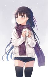 Rule 34 | 1girl, :o, baozi, black thighhighs, blue shorts, blush, breath, brown hair, commentary, cowboy shot, food, gradient background, hair ribbon, half updo, hands up, highres, holding, holding food, jacket, long hair, long sleeves, looking afar, looking away, looking to the side, na-ga, open mouth, original, plaid, plaid scarf, purple ribbon, purple scarf, ribbon, scarf, short shorts, shorts, skindentation, snowing, solo, standing, sweater, thighhighs, thighs, white jacket, white sweater, zettai ryouiki