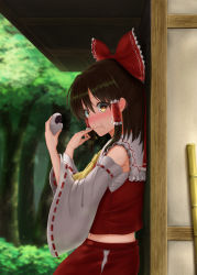 Rule 34 | 1girl, absurdres, against wall, arms up, ascot, bamboo broom, baozi, black hair, blurry, blurry background, blush, broom, brown eyes, commentary request, day, detached sleeves, food, food on face, forest, hair ribbon, hair tubes, hakurei reimu, hand on own face, highres, hip vent, holding, holding food, looking at viewer, luke (kyeftss), midriff, nature, navel, outdoors, red skirt, red vest, ribbon, ribbon-trimmed sleeves, ribbon trim, sarashi, sidelocks, sideways glance, skirt, solo, standing, sweatdrop, touhou, upper body, vest, yellow ascot