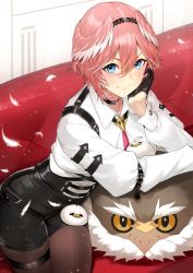Rule 34 | 1girl, black gloves, black shorts, blue eyes, commentary request, feathers, ganmo (takane lui), gloves, head wings, high-waist shorts, highres, hololive, holox, kakage, long sleeves, looking at viewer, pantyhose, pantyhose under shorts, pink hair, short hair, shorts, smile, solo, takane lui, takane lui (1st costume), tsukune (takane lui), tsumire (takane lui), virtual youtuber, white feathers, wing collar, wings