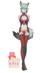 Rule 34 | 1girl, animal ears, arknights, breasts, character name, cleavage, closed mouth, full body, grey hair, hair between eyes, high heels, lingerie, lipstick, looking at viewer, makeup, projekt red (arknights), red footwear, red thighhighs, short hair, simple background, solo, tail, thighhighs, underwear, white background, wolf ears, wolf girl, wolf tail, yan wan, yellow eyes