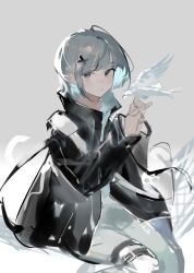 Rule 34 | 1girl, bird, bird on hand, black jacket, blush, closed mouth, collared jacket, cowlick, dot nose, dove, grey background, grey eyes, hair ornament, highres, jacket, long bangs, long sleeves, looking at viewer, mo011010, original, own hands together, short hair, sidelocks, simple background, sitting, solo, white hair, x hair ornament