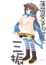 Rule 34 | 1girl, ahoge, animal ears, black footwear, blue gloves, blue scarf, boots, brown eyes, brown hair, cat ears, cat tail, full body, gloves, looking at viewer, original, scarf, skirt, solo, standing, striped clothes, striped thighhighs, tail, thighhighs, tokumi yuiko, watermark, web address, white background