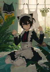 Rule 34 | 1girl, absurdres, animal ear fluff, animal ears, apron, black dress, black eyes, black hair, cat ears, cat girl, claw pose, closed mouth, clothes, clothes pin, clothesline, dress, drying, drying clothes, hair between eyes, hanging, highres, indoors, kgt (pixiv12957613), kneeling, laundry, looking at viewer, maid, original, pantyhose, plant, short hair, solo, white apron, white pantyhose