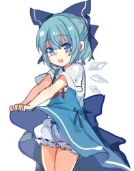 Rule 34 | 1girl, back bow, bloomers, blue bow, blue dress, blue eyes, blue hair, bow, cirno, clothes lift, dress, dress lift, hair bow, looking at viewer, neck ribbon, open mouth, paragasu (parags112), red ribbon, ribbon, short hair, short sleeves, simple background, solo, standing, teeth, touhou, underwear, upper teeth only, white background