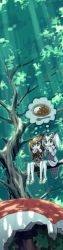 Rule 34 | 10s, 2girls, bad id, bad pixiv id, bird tail, blush, brown dress, brown eyes, brown hair, curry, dress, eating, eurasian eagle owl (kemono friends), food, green footwear, grey footwear, hair between eyes, head wings, highres, in tree, kemono friends, light rays, long image, long sleeves, multiple girls, northern white-faced owl (kemono friends), shapoco, shoes, sitting, sitting in tree, smile, sunbeam, sunlight, tail, tall image, thought bubble, tree, watermark, white dress, white hair, white legwear, wings
