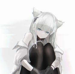 Rule 34 | 1girl, animal ears, arknights, arknights: endfield, bare shoulders, black gloves, black pantyhose, blue eyes, blunt bangs, closed mouth, gloves, grey background, grey jacket, highres, jacket, knees up, long hair, long sleeves, looking at viewer, mebe (teadia violet), off shoulder, open clothes, open jacket, pantyhose, perlica (arknights), silver hair, simple background, sitting, smile, solo, very long hair, white background