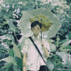 Rule 34 | 1boy, absurdres, arm at side, azhuzoo, black bag, black eyes, black hair, bracelet, chinese commentary, closed mouth, collared shirt, expressionless, flower, hand up, highres, holding, holding umbrella, jewelry, leaf, looking at viewer, male focus, original, painterly, plant, shirt, short hair, short sleeves, solo, standing, strap, umbrella, vegetation, weibo logo, weibo watermark, white shirt, white umbrella