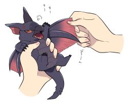 Rule 34 | puff of air, anger vein, angry, animal, animal focus, claws, colored sclera, commentary request, highres, holding, holding animal, ikuchi osutega, in palm, minimized, monster hunter (series), nargacuga, out of frame, pink nails, sharp teeth, simple background, slit pupils, sound effects, spiked tail, tail, teeth, translation request, white background, wing grab, wing pull, wings, yellow eyes, yellow sclera