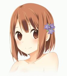 Rule 34 | 10s, 1girl, blush, brown eyes, brown hair, collarbone, covering privates, covering chest, dot nose, eyebrows, eyelashes, flower, grey background, hair flower, hair ornament, hanawa kaoru, hand on own chest, highres, looking at viewer, nude, orancio muwi, portrait, short hair, simple background, smile, solo, tamayura, tareme