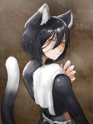 1girl androgynous animal_ear_fluff animal_ears black_fur black_hair brown_background cat_ears cat_girl cat_tail closed_mouth commentary dripping dungeon_meshi english_commentary fingernails furry hair_between_eyes highres izutsumi kimchunsik korean_text looking_back pale_skin red_scarf scarf sharp_fingernails short_hair solo straight_hair tail tail_raised topless_female towel towel_on_one_shoulder wet wet_hair yellow_eyes