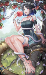 Rule 34 | 1girl, absurdres, animal, anklet, apple, apple tree, arknights, arm wrap, barefoot, barefoot sandals (jewelry), black dress, black hair, blue eyes, bracelet, dress, ear chain, earrings, eating, eunectes (arknights), feet, flower, food, fruit, grass, highres, jewelry, looking at viewer, open mouth, pointy ears, saliva, short dress, sitting, snake, tail, tail ornament, tail ring, toes, tongue, tree, under tree, white snake, yf (hbyg)