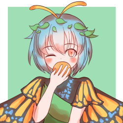 Rule 34 | 1girl, antennae, aqua hair, bad id, bad pixiv id, blush, border, butterfly wings, dress, eternity larva, fairy, food, fruit, green dress, hair between eyes, holding, holding food, holding fruit, insect wings, leaf, leaf on head, multicolored clothes, multicolored dress, one eye closed, orange (fruit), orange eyes, short hair, short sleeves, single strap, skyw, solo, third-party source, touhou, upper body, white border, wings