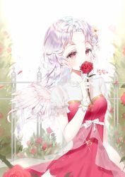 Rule 34 | 1girl, bad id, bad pixiv id, blush, bow, breasts, commentary, commission, covered mouth, dress, feathered wings, fence, flower, flower over mouth, hair flower, hair ornament, heart, holding, holding flower, long hair, looking at viewer, mini wings, original, parted bangs, petals, pink wings, puffy short sleeves, puffy sleeves, qlakwnd, red dress, red eyes, red flower, red rose, rose, rose petals, see-through, short sleeves, silver hair, small breasts, solo, very long hair, white bow, white flower, wings