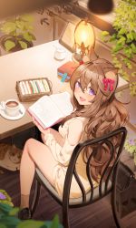 Rule 34 | 1girl, animal ear fluff, animal ears, blush, book, brown hair, brown socks, cat, clothing cutout, commentary, commentary request, cup, dress, english commentary, fang, food, from above, full body, hair between eyes, hair ribbon, highres, holding, holding book, indoors, lamp, long hair, long sleeves, looking at viewer, looking back, looking up, mixed-language commentary, nyum, on chair, open book, open mouth, original, plant, purple eyes, red ribbon, ribbon, shoes, shoulder cutout, sitting, skin fang, smile, socks, solo, sweater, sweater dress, turtleneck, yellow sweater