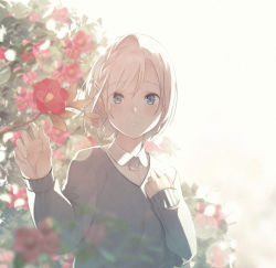 Rule 34 | 1girl, backlighting, black sweater, blue eyes, blurry, blurry background, blush, camellia, collared shirt, commentary request, depth of field, flower, fujiwara mizuki, gloves, hair between eyes, hair ornament, hairclip, long sleeves, original, parted lips, red gloves, shirt, short hair, sleeves past wrists, solo, sweater, upper body, white hair, white shirt
