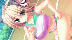 Rule 34 | 1girl, animal ears, blonde hair, blue eyes, blush, breasts, cat ears, collarbone, game cg, huge breasts, legs, looking away, navel, running, short hair, solo, standing, syroh, thighs, track and field, yakimochi stream