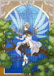 Rule 34 | 1girl, bird, black thighhighs, bob cut, boots, branch, clover, clover (manga), four-leaf clover, framed, full body, green eyes, in tree, kagalin, light smile, long sleeves, mechanical wings, see-through, shoes, short hair, silver hair, sitting, sitting in tree, steampunk, suu, suu (clover), thighhighs, tree, window, wings
