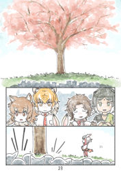 Rule 34 | 10s, animal ears, character request, cherry blossoms, comic, highres, japanese crested ibis (kemono friends), kemono friends, multicolored hair, multiple girls, murakami kou (raye), page number, red hair, silent comic, tiger (kemono friends), tiger ears, tree, white hair