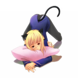 Rule 34 | 1girl, all fours, animal ears, ass, bad id, bad pixiv id, blonde hair, cat ears, cat tail, glasses, long hair, looking at viewer, pantyhose, perrine h. clostermann, pillow, smile, solo, strike witches, tail, top-down bottom-up, tsurupon, uniform, world witches series, yellow eyes
