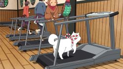 Rule 34 | 10s, animated, animated gif, bird, dog, exercising, hoozuki no reitetsu, kakisuke (hoozuki no reitetsu), lowres, monkey, rurio (hoozuki no reitetsu), shiro (hoozuki no reitetsu), treadmill