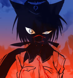 Rule 34 | 1girl, @ @, animal ears, bleeding, blood, blood on clothes, blood on face, garrison cap, hair ribbon, hanna rudel, hat, injury, long hair, long sleeves, military, military uniform, ponytail, rapan, ribbon, scar, silhouette, solo, strike witches, strike witches: suomus misfits squadron, uneven eyes, uniform, upper body, wolf ears, world witches series