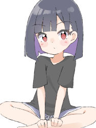 Rule 34 | 1girl, black hair, black shirt, blue shorts, blush stickers, closed mouth, commentary request, do it yourself!!, feet out of frame, highres, kapuru 0410, looking at viewer, multicolored hair, purple hair, red eyes, shirt, short shorts, short sleeves, shorts, simple background, sitting, solo, suride miku, two-tone hair, white background