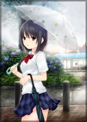 Rule 34 | 1girl, aoyama sumika, black hair, blouse, border, bow, bowtie, breasts, brown eyes, closed umbrella, coffee-kizoku, collared shirt, convenience store, cowboy shot, dress shirt, flower, from side, highres, holding, holding umbrella, hydrangea, jpeg artifacts, looking at viewer, medium breasts, open mouth, original, outdoors, plaid, plaid skirt, pleated skirt, rain, red bow, red bowtie, scan, school uniform, shirt, shop, short sleeves, skirt, solo, transparent, transparent umbrella, tree, umbrella, white shirt
