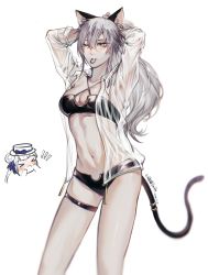 Rule 34 | 2girls, animal ears, arknights, arms behind head, arms up, bandeau, bikini, black bikini, cat ears, cat tail, ceylon (arknights), commentary request, cowboy shot, criss-cross halter, hair between eyes, hair tie in mouth, halterneck, highres, jumaodajituizi, long hair, mouth hold, multiple girls, navel, one eye closed, open clothes, open shirt, schwarz (arknights), see-through, silver hair, simple background, standing, stomach, swimsuit, tail, thigh strap, thighs, white background, yellow eyes