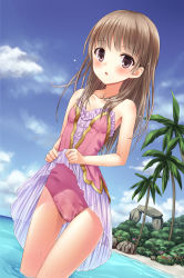 Rule 34 | 1girl, atelier (series), atelier totori, beach, blush, brown eyes, brown hair, cameltoe, clothes lift, cloud, day, female focus, highres, leotard, long hair, looking at viewer, n.g., ocean, one-piece swimsuit, open mouth, outdoors, palm tree, pink one-piece swimsuit, skirt, skirt lift, sky, solo, standing, swimsuit, swimsuit skirt, thigh gap, totooria helmold, tree, wading, wet