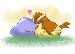 Rule 34 | alternate color, animal focus, bad id, bad pixiv id, bird, blush, commentary request, couple, creature, creatures (company), ditto, closed eyes, full body, game freak, gen 1 pokemon, grass, heart, interspecies, nintendo, no humans, outdoors, pidgey, platin (alios), pokemon, pokemon (creature), pokephilia, shiny pokemon