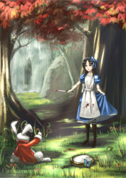 Rule 34 | alice: madness returns, alice (alice in wonderland), alice in wonderland, alice liddell (american mcgee&#039;s alice), american mcgee&#039;s alice, american mcgee's alice, apron, black hair, blood, blue dress, boots, brown hair, bug, butterfly, clock, clothes lift, cowering, dress, dress lift, forest, grass, green eyes, hairband, inoi, insect, knife, nature, pantyhose, rock, scared, striped clothes, striped legwear, striped pantyhose, tree, water, waterfall, white rabbit (alice in wonderland)