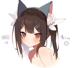 Rule 34 | 1girl, animal ear fluff, animal ears, blush, brown hair, cat ears, from side, hair ornament, hairclip, highres, original, solo, tomo (ryo i so ), twintails