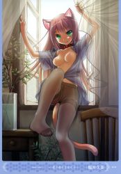 Rule 34 | 1girl, :q, absurdres, animal ears, artist name, black pantyhose, blouse, blush, breasts, cat ears, cat tail, chair, collar, collarbone, collared shirt, crotch seam, curtain grab, curtains, female focus, green eyes, high-waist pantyhose, highres, horii kumi, long hair, medium breasts, nipples, no bra, no panties, open clothes, open shirt, open window, original, page number, pantyhose, pink hair, plant, potted plant, scan, see-through, shirt, sitting, solo, tail, thighband pantyhose, tongue, tongue out, very long hair, window, windowsill