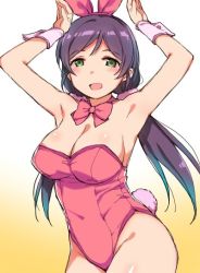 Rule 34 | 10s, 1girl, animal ears, armpits, arms up, blush, bow, bowtie, breasts, covered navel, duke (inu daimyou), fake animal ears, green eyes, hair ornament, hair scrunchie, large breasts, leotard, long hair, looking at viewer, love live!, love live! school idol project, open mouth, pink bow, pink bowtie, pink leotard, pink scrunchie, playboy bunny, purple hair, rabbit ears, rabbit pose, rabbit tail, scrunchie, smile, solo, standing, strapless, strapless leotard, tail, tojo nozomi, twintails