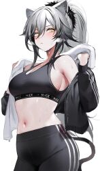Rule 34 | 1girl, absurdres, animal ear fluff, animal ears, arknights, bare shoulders, black pants, blush, breasts, cat ears, cat tail, cleavage, clothes writing, commentary, cowboy shot, crop top, dokuro deluxe, grey hair, highres, large breasts, leggings, long hair, looking at viewer, midriff, navel, off shoulder, pants, parted lips, schwarz (arknights), simple background, solo, sports bra, standing, stomach, tail, very long hair, white background, yellow eyes