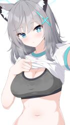Rule 34 | 1girl, absurdres, animal ear fluff, animal ears, blue archive, blue eyes, blue halo, blush, breasts, cleavage, cross hair ornament, grey hair, grey sports bra, hair between eyes, hair ornament, halo, hayana neru, highres, large breasts, looking at viewer, medium hair, mismatched pupils, navel, open mouth, shiroko (blue archive), shirt, short sleeves, simple background, solo, sports bra, sweat, upper body, white background, white shirt, wolf ears