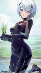 Rule 34 | 1girl, absurdres, ayanami rei, black bodysuit, blue hair, bodysuit, breasts, covered erect nipples, evangelion: 3.0+1.0 thrice upon a time, eyebrows hidden by hair, field, grass, highres, holding, holding plant, interface headset, medium breasts, multicolored bodysuit, multicolored clothes, neon genesis evangelion, pilot suit, plant, plugsuit, rebuild of evangelion, red eyes, rice planting, rural, short hair, skin tight, solo, sweat, taishi (picchiridou), water, wheat