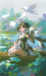 Rule 34 | 1girl, ahoge, arm belt, asymmetrical dress, asymmetrical gloves, asymmetrical shorts, bird, black hair, cat, dress, dyed ahoge, earrings, gloves, highres, jewelry, jianxin (wuthering waves), lake, long sleeves, multicolored clothes, multicolored dress, plant, shorts, shorts under skirt, tight clothes, tight dress, wuthering waves, yin yang, yin yang earrings, yunouou10