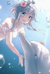 Rule 34 | 1girl, :d, absurdres, ahoge, air bubble, animal, bare arms, bare shoulders, bikini, blue eyes, blush, bubble, collarbone, commentary request, day, dolphin, flower, hair between eyes, hair flower, hair ornament, highres, long hair, looking at viewer, open mouth, original, outdoors, pink flower, silver hair, smile, solo, soranagi yuki, swimsuit, underwater, upper body, water, white bikini