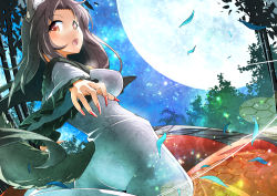 Rule 34 | 1girl, animal ears, breasts, brooch, brown hair, dress, fingernails, full moon, imaizumi kagerou, jewelry, long hair, long sleeves, looking at viewer, moon, open mouth, red eyes, solo, tail, touhou, umigarasu (kitsune1963), wide sleeves, wolf ears, wolf tail