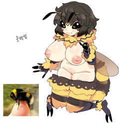 Rule 34 | 1girl, :3, antennae, arthropod girl, arthropod limbs, bee, bee girl, black fur, black hair, black sclera, blonde hair, breasts, brown wings, bug, bumblebee (insect), cleft of venus, closed mouth, colored sclera, completely nude, creature and personification, full body, hand up, insect, insect girl, insect wings, inverted nipples, korean text, large breasts, multicolored fur, multicolored hair, navel, nipples, nude, nyong nyong, original, photo inset, pussy, short hair, simple background, smile, solo, thick eyebrows, thighs, two-tone fur, two-tone hair, uncensored, white background, wings, yellow eyes, yellow fur
