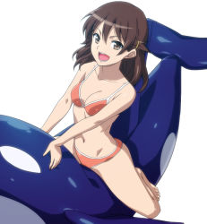 Rule 34 | 10s, 1girl, :d, barefoot, bikini, breasts, brown eyes, brown hair, cleavage, hairu, kyouno madoka, looking at viewer, navel, open mouth, orange bikini, rinne no lagrange, simple background, sitting, smile, solo, swimsuit, whale, white background