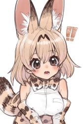 Rule 34 | !, !!, 1girl, :o, animal ear fluff, animal ears, bare shoulders, blonde hair, blush, bow, bowtie, breasts, brown eyes, elbow gloves, extra ears, fangs, gloves, hair between eyes, high-waist skirt, highres, kemono friends, large breasts, looking at viewer, notora, print bow, print bowtie, print gloves, print neckwear, print skirt, serval (kemono friends), serval print, shirt, simple background, sketch, skirt, sleeveless, sleeveless shirt, solo, tail, teeth, traditional bowtie, upper body, white background, white shirt