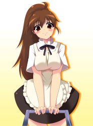 Rule 34 | 1girl, apron, breasts, breasts squeezed together, brown eyes, brown hair, gradient background, ladder, long hair, ponytail, smug, solo, stepladder, taneshima popura, tsukishiro kou, waitress, working!!