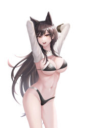 Rule 34 | 1girl, :d, animal ears, arms behind head, arms up, atago (azur lane), atago (stunning speedster) (azur lane), azur lane, bikini, black bikini, black hair, breasts, brown eyes, cleavage, contrapposto, cowboy shot, dancing, groin, highres, kie (wylee2212), large breasts, long hair, long sleeves, looking at viewer, me!me!me!, me!me!me! dance (meme), meme, mole, mole under eye, navel, no pants, official alternate costume, open mouth, race queen, shrug (clothing), smile, solo, standing, stomach, string bikini, swimsuit, thighs, very long hair, wing collar