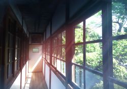 Rule 34 | absurdres, architecture, branch, bush, ceiling, commentary, day, door, east asian architecture, forest, hallway, hati 98, highres, interior, light rays, nature, no humans, original, scenery, school, sunbeam, sunlight, tree, vanishing point, vegetation, window, wooden floor