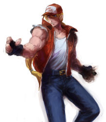 Rule 34 | fatal fury, male focus, snk, terry bogard, the king of fighters