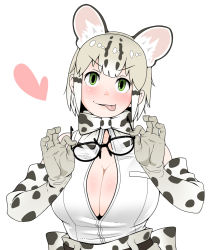 Rule 34 | 1girl, black-framed eyewear, black hair, blush, booth tomato, breast pocket, breasts, brown gloves, brown hair, cleavage, closed mouth, elbow gloves, unworn eyewear, glasses, gloves, green eyes, heart, highres, holding, holding removed eyewear, kemono friends, large breasts, looking at viewer, margay (kemono friends), multicolored hair, pocket, short hair, smile, solo, tongue, tongue out, upper body, white hair