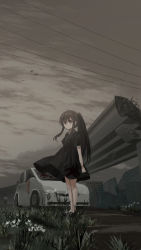 Rule 34 | 1girl, 1other, absurdres, aged down, black dress, black footwear, black hair, blood, blood on clothes, broken, broken window, brown eyes, building, car, chihuri, cloud, cloudy sky, collared dress, dress, fence, flower, highres, long hair, motor vehicle, original, outdoors, overpass, ponytail, power lines, puffy short sleeves, puffy sleeves, shoes, short sleeves, sky, solo focus, very long hair, white flower, yana (chihuri)